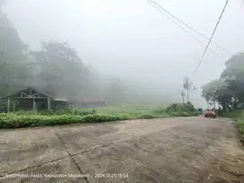 TANAH VILA ISTIMEWA