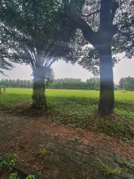 Dijual kavling cendana kedaton golf suvarna sutera tangerang