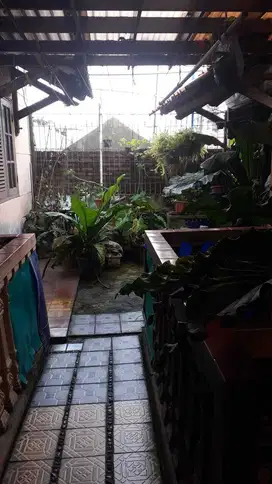 Dijual Rumah Strategis siap Huni dan cocok untuk Kost2an di Utan Kayu