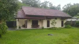 Rumah di kota Jogja