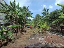 Tanah Tembalang Bulusan Undip