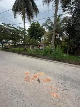 JUAL CEPAT TANAH PINGGIR JALAN KENTEN PERMAI