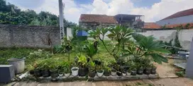 Tanah Kavling Murah Luas di Cluster Arjuna Pamulang Tangerang Selatan