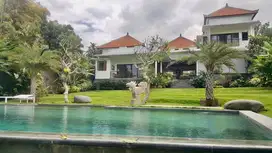 Villa Mewah View Sawah Luas di Canggu Bali