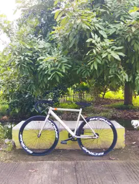 Fixie Pandora Silver