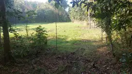 Bangunjiwo, Tanah Kasihan Bantul, Dekat RS PKU Muhammadiyah Gamping