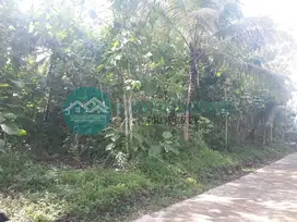 Jual Tanah Super Murah Di Pajangan Bantul