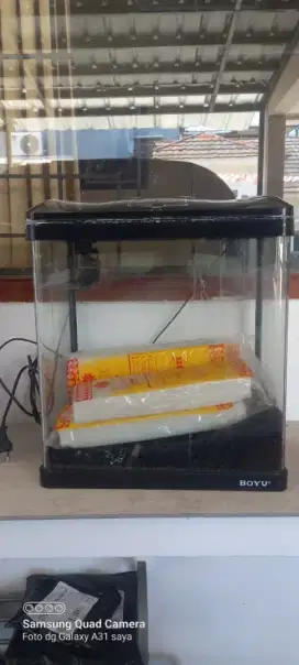 Aquarium ikan hias