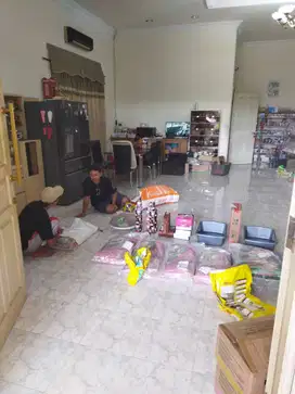 Freelance Online petshop surabaya