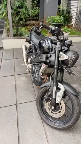Sxr antik punya