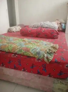 Springbed kuat, normal