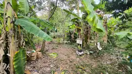 Dijual Lahan Siap Bangun Jl.Kebun Bunga Sukarami Palembang