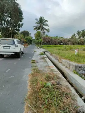 Jual Tanah Istimewa Mangku Jalan Aspal Sangat Murah Pembayaran Mudah