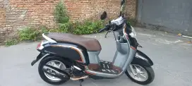 Honda Scoopy Stylish