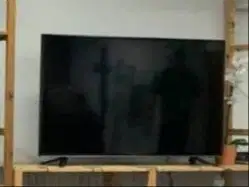 TV Panasonic TH-55E306G 55