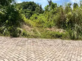 Tanah Kavling Dekat Kampus Murah Banget