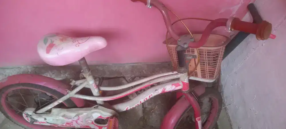 Sepeda anak cewek pink ring 16