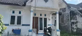 Rumah Murah Jember Luas 126