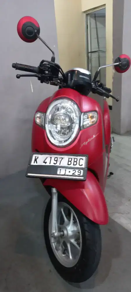 Honda Scoopy Stylish