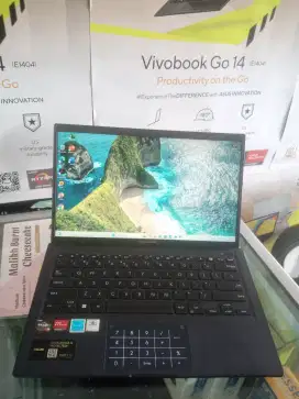 Laptop Asus Expertbook L1400CD Amd Ryzen 3 3250U Ram 8 Ssd 256