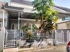 Rumah Suhat Malang Dekat Kampus Brawijaya