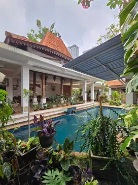 Rumah luas asri  siap huni di BDS Tangerang Selatan