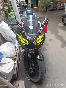 Ninja 250R Mono