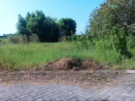 Tanah murah krembung Sidoarjo