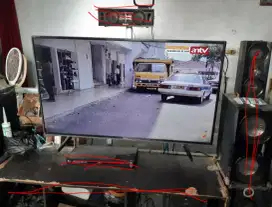 Panasonic Digital TV LED 4949G306G