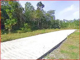 Dekat Polres Kulon Progo Panjatan, Tanah Jogja Siap Balik Nama