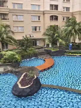 TERMURAH, APARTEMEN MEDITERANIA MARINA ANCOL 2 BR, 45m, JUAL BU CASH
