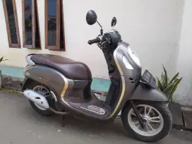 Scoopy new 2021 kyles pajak hidup