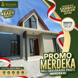 Cluster Skandinavian Terbaik di Solo Timur, Promo Melimpah