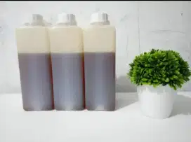 Madu isi 1 kg multiflora