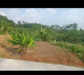 Tanah Kavling murah SHM Ready di Sadeng Gunungpati