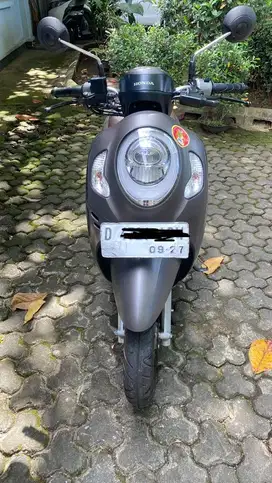 Scoopy stylish brown 2022