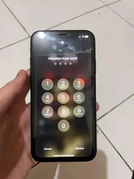 Iphone Xr 256Gb Alloperator