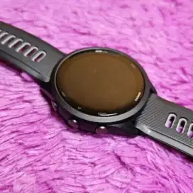 Garmin 265 music
