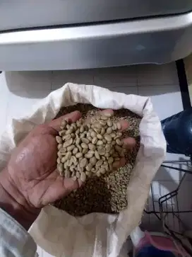KOPI MALANG DAMPIT BIJI BESAR PANEN KEBUN SENDIRI HARUM WANGI