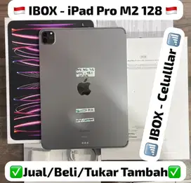 Ipad Pro M2 128 Gb Space Gray 11 inch Celluler Ibox