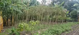 Di jual tanah datar dan padat penduduk