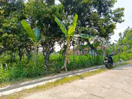 TANAH SINGKIL BALONG