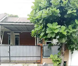 Dijual cepat rumah minimalis dengan halaman samping
