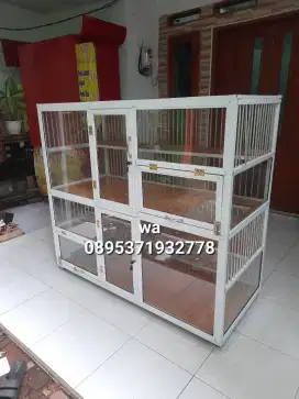 KANDAMG KUCING BANDUNG