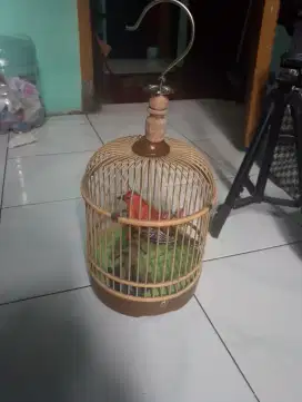 Mainan burung dalam sangkar