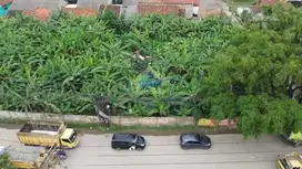 Disewakan Tanah Strategis akses Container di Jl Legok-Parung Panjang