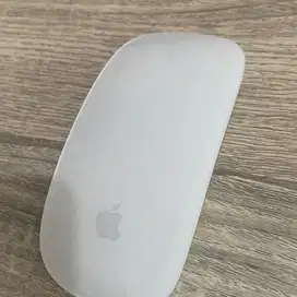 Magic Mouse Apple