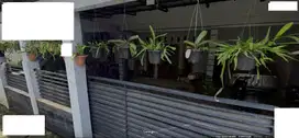 Rumah 6 Kamar Tidur 15 Menit ke Mall Cipinang Indah Siap KPR J-32530