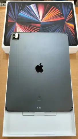 iPad Pro M1 12,9 Inch (5th Generation) Wi-Fi Celluler 256GB Space Gray