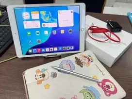 Jual Santai iPad gen 8 32GB wifi only Gold